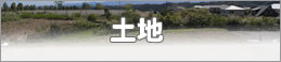 土地